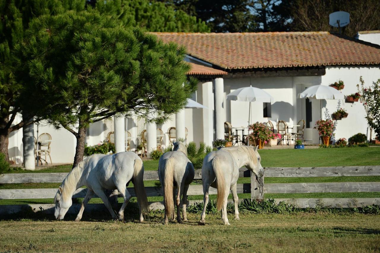 Mas De La Grenouillere Hotel Et Centre Equestre En Pleine Nature 생트마리들라메르 외부 사진
