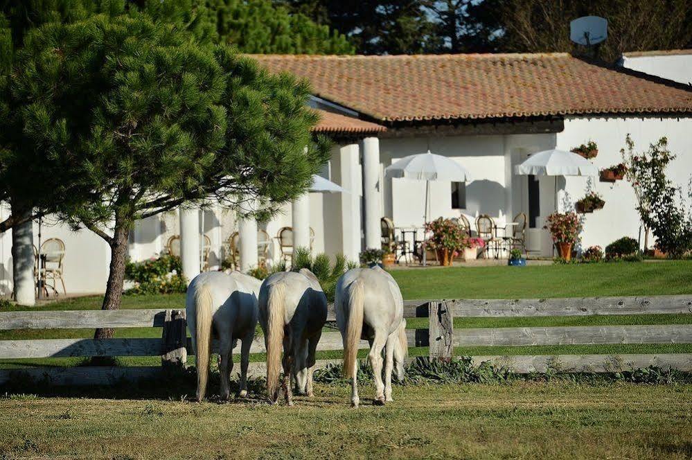 Mas De La Grenouillere Hotel Et Centre Equestre En Pleine Nature 생트마리들라메르 외부 사진